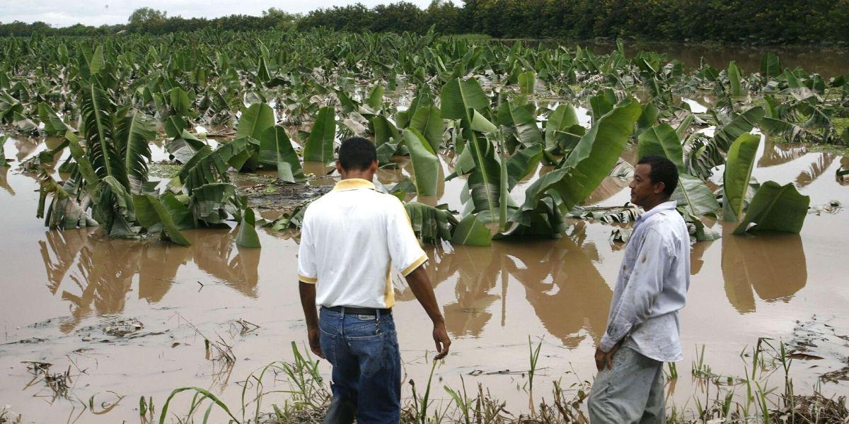 Pérdidas agrícolas y más migración en 2022 para Honduras