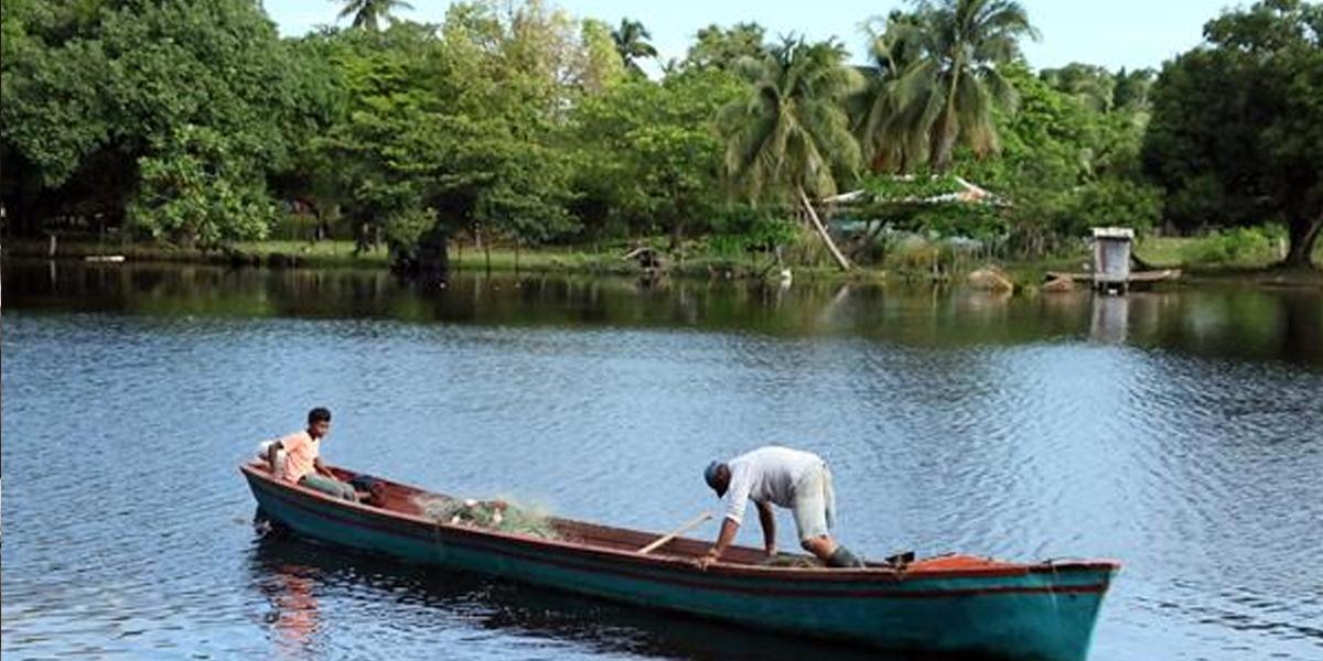 Las condiciones de vida de los pescadores artesanales de Kaukira, en el Caribe de Honduras, han comenzado a mejorar con una granja fotovoltaica.