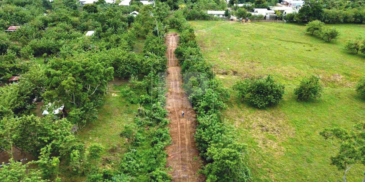 Abren calle en medio del bosque para nueva entrada a La Ceiba