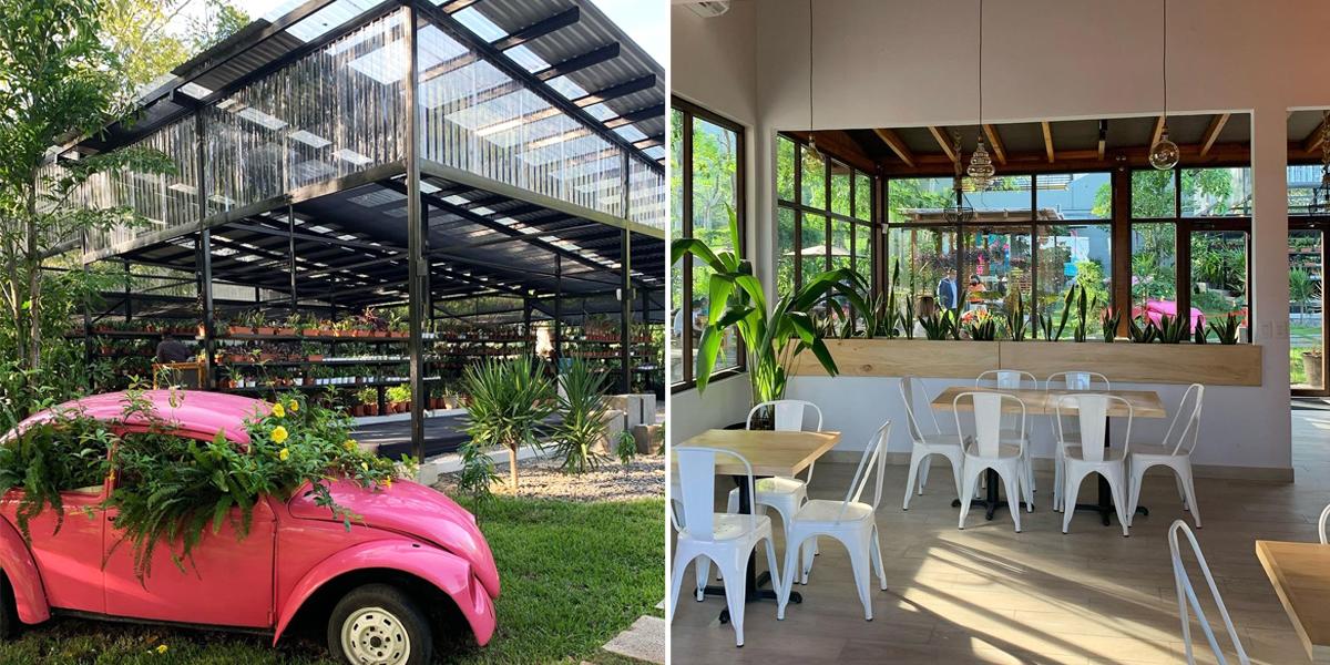 “Caobas Vivero &amp; Café”: un nuevo y espectacular lugar en San Pedro Sula