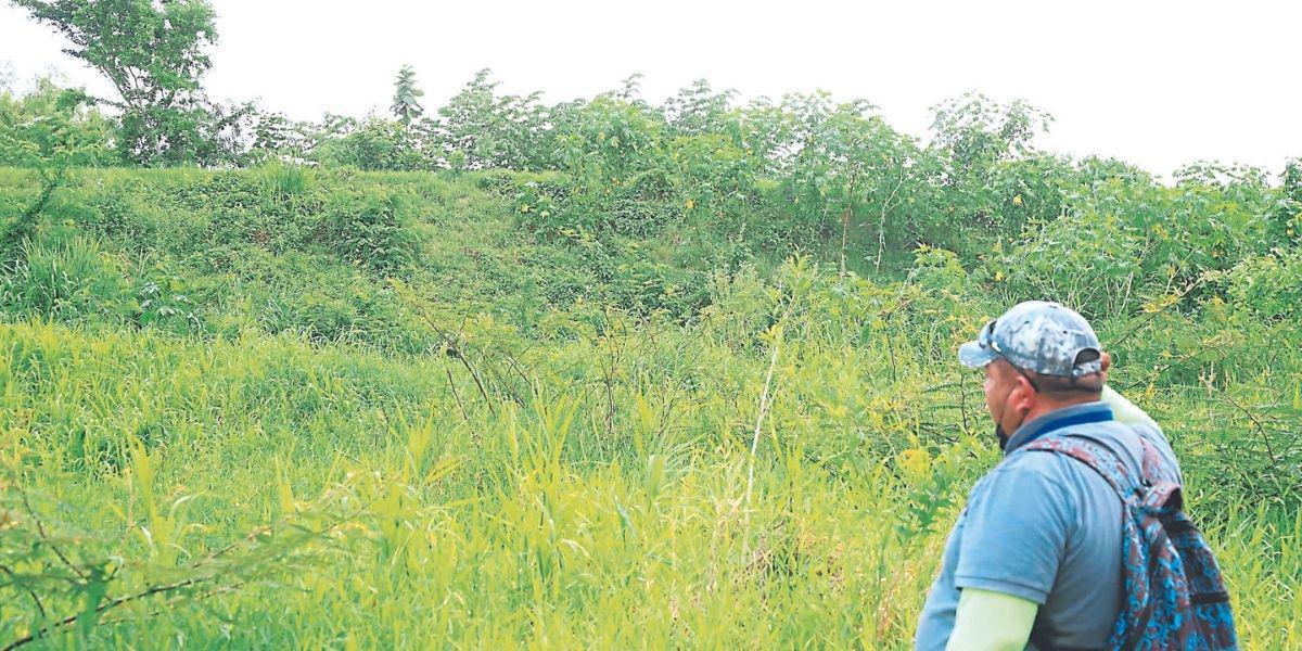 Alcaldes del valle de Sula claman el dragado de ríos para evitar inundaciones