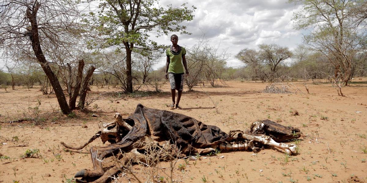 El cambio climático puede afectar a 1,200 millones de personas en 2070