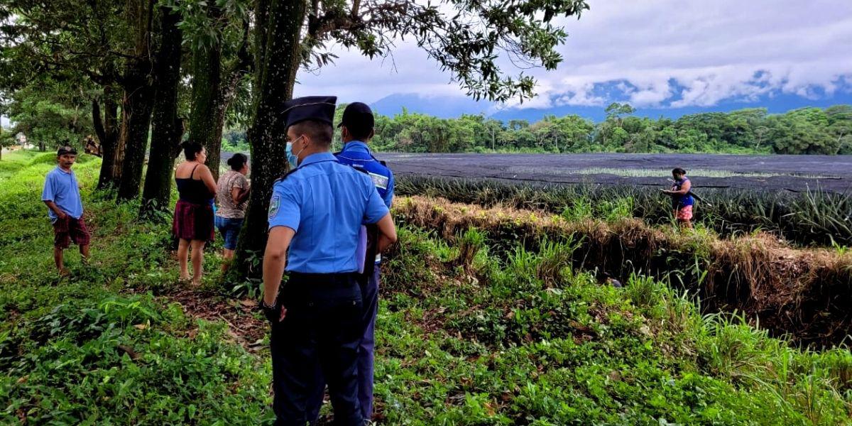 Encuentran osamenta de desaparecido en piñeras de La Ceiba