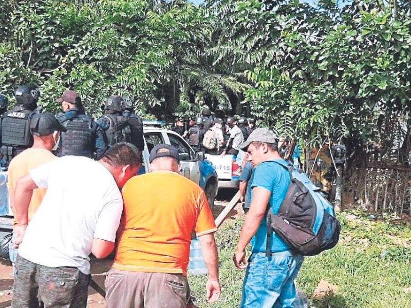 La crisis en las fincas de palma africana ya ha dejado más de 15 personas muertas por el hurto de la fruta.