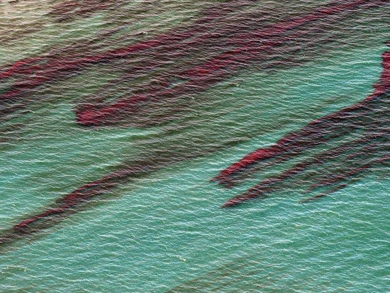 Fotografía de archivo de una mancha de petróleo después de una fuga.