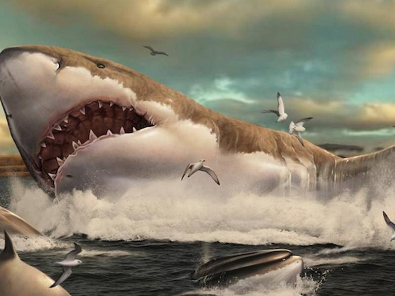 Imagen de referencia.