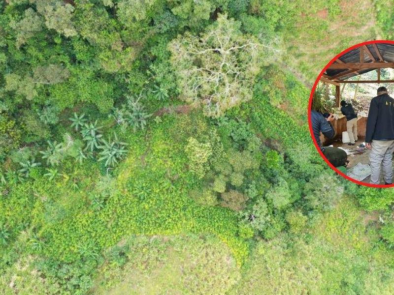 Autoridades hondureñas indagan la zona a diario en búsqueda de narcolaboratorios y plantaciones.