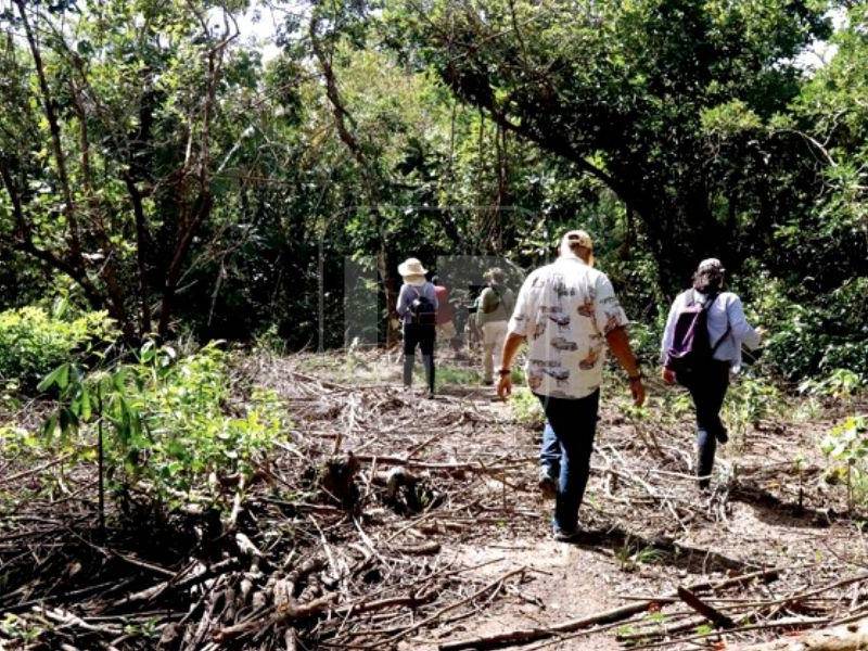 Su conservación y protección debe retomarse con urgencia, exhortan líderes de la comunidad ante el daño ambiental registrado.