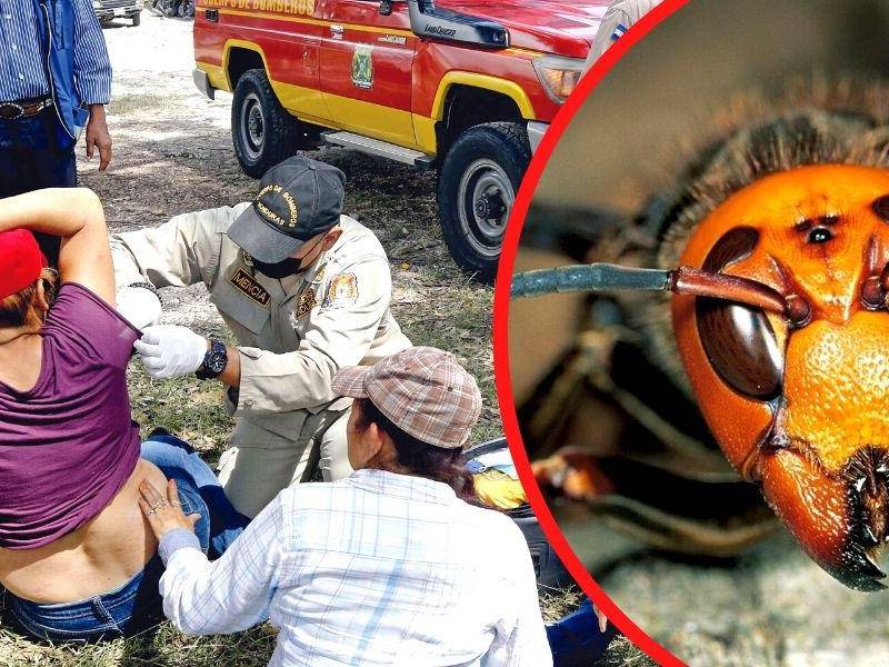 El hecho fue en Marale, Francisco Morazán.