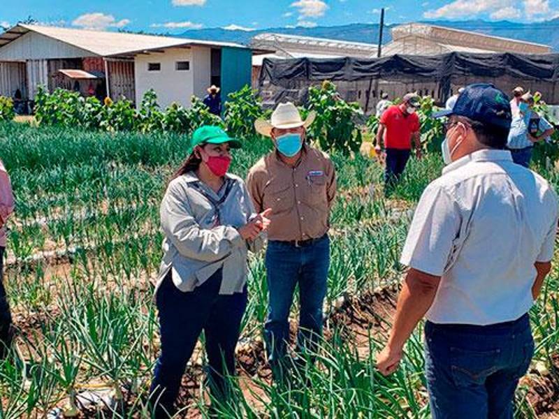 De L 1,000 millones será la inversión este año en el Bono Tecnológico
