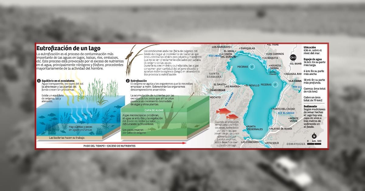 $!Lago de Yojoa se está quedando sin oxígeno