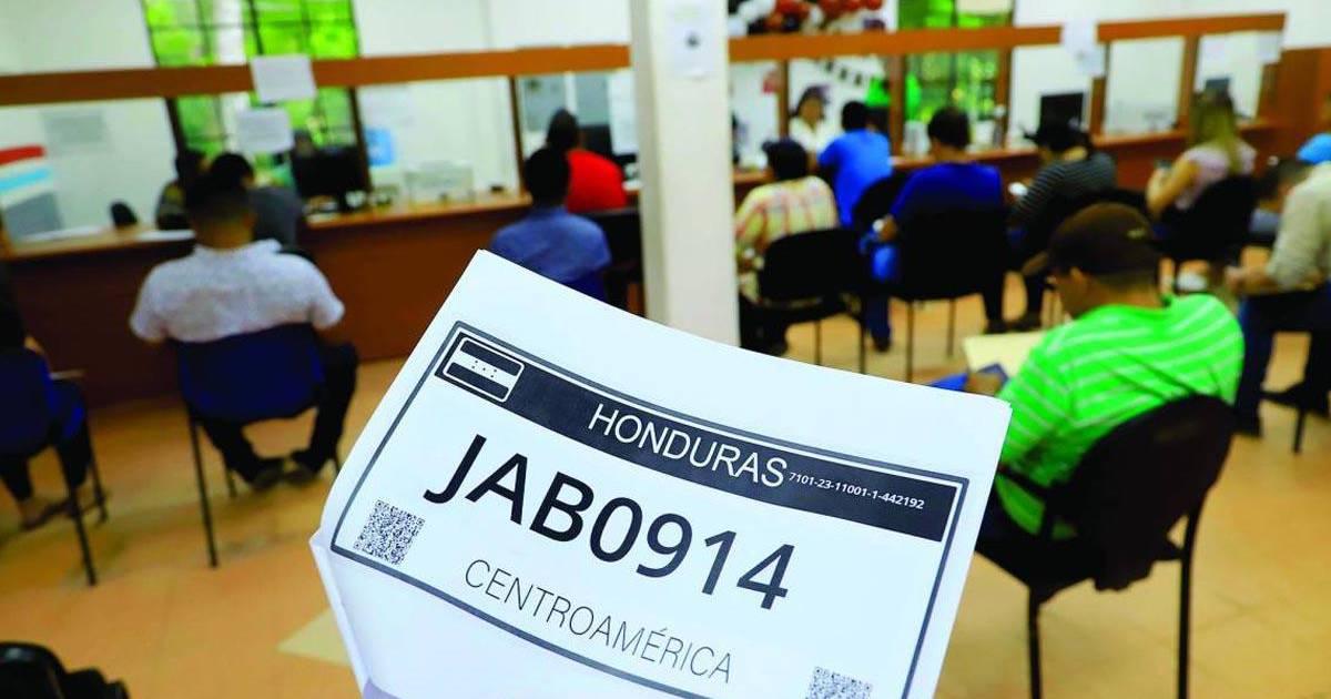 Importadores se quejan: Vehículos seguirán con placas de papel