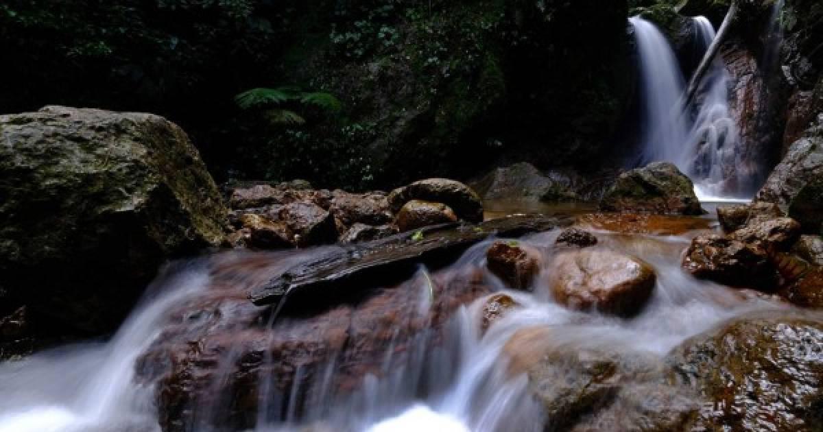 Este hermoso lugar fue declarado Parque Nacional en 1987 mediante Decreto No. 87-87. Tiene una extensión de 312 km2, y sus cimas se levantan hasta los 2,080 metros sobre el nivel del mar.