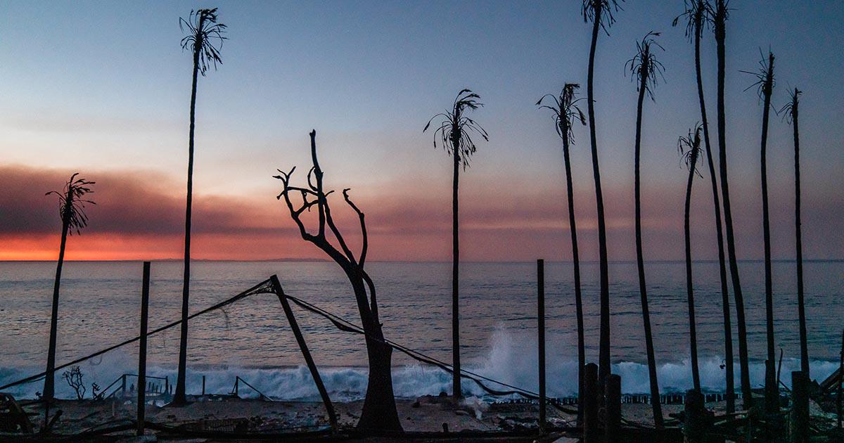$!Los recientes incendios en Los Ángeles han consumido más de 16 mil hectáreas y al menos 24 personas han muerto. (Ariana Drehsler para The New York Times)