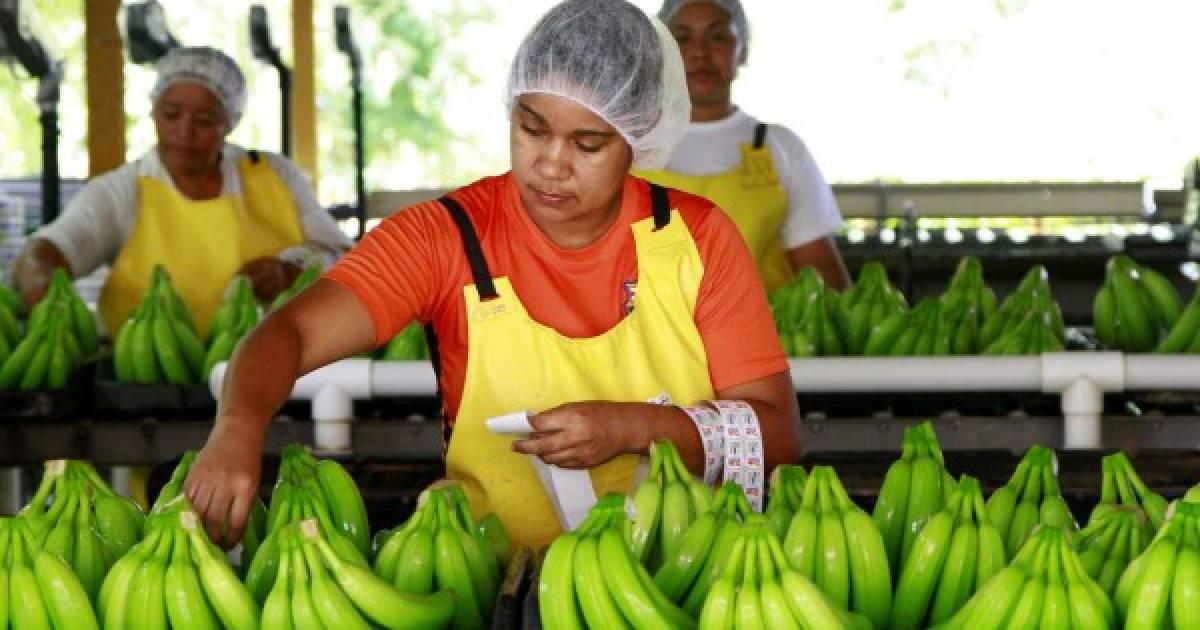 Las cinco actividades que sostienen la economía de Honduras