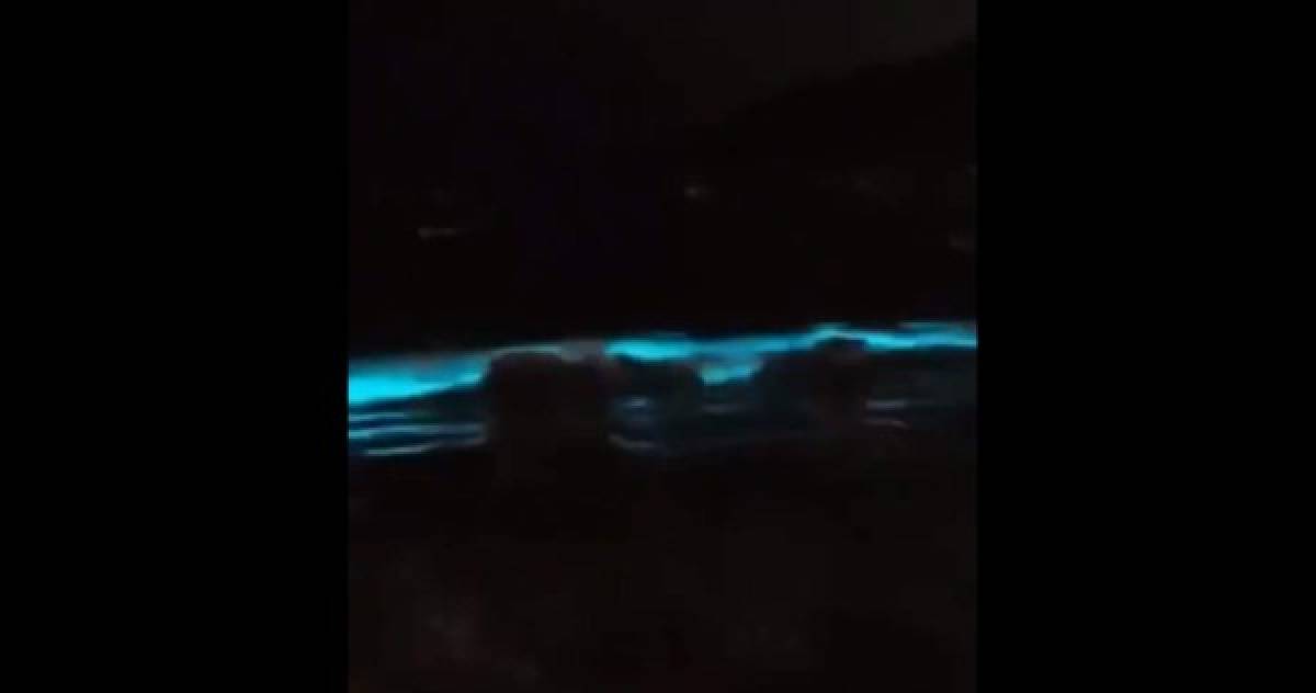 Las extrañas luces azules que aparecieron en las playas de Acapulco