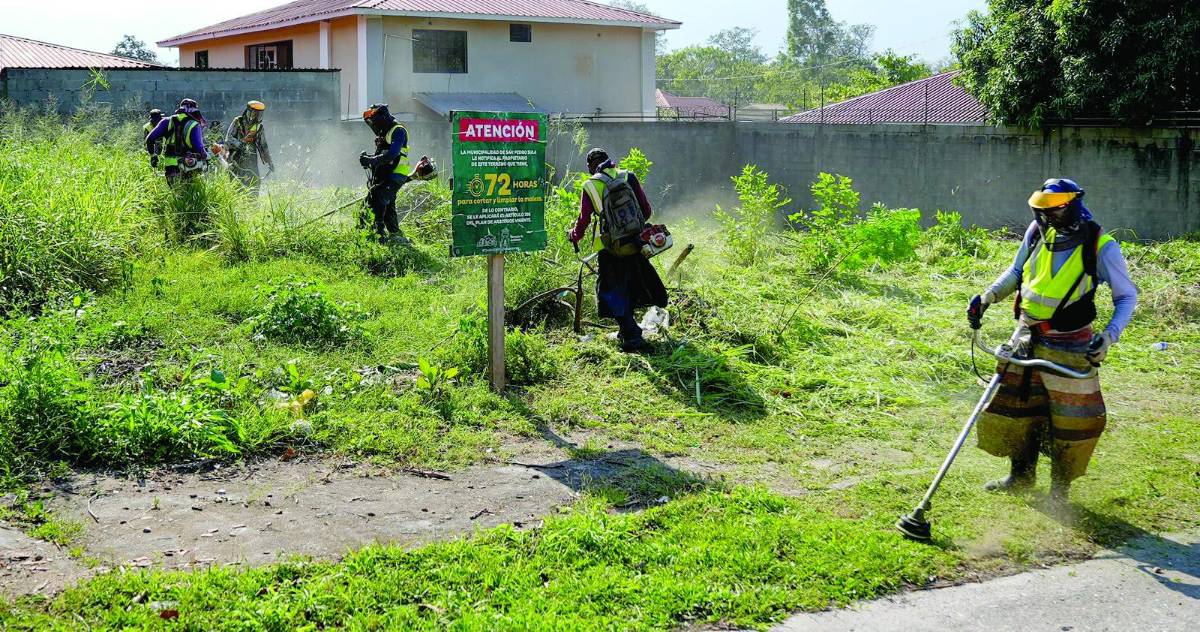 Alcaldía busca rentar transporte para la limpieza y poda de solares baldíos