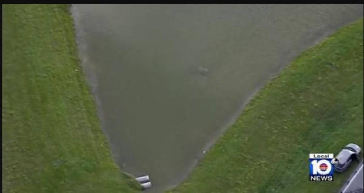 El auto del joven fue encontrado sumergido en un pequeño lago artificial. Allí también estaba su cuerpo sin vida.