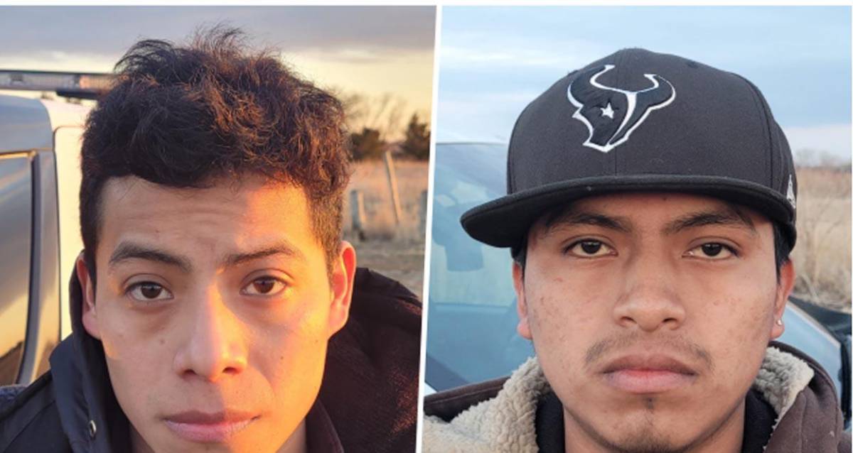 Hondureños son acusados de matar un águila en Estados Unidos