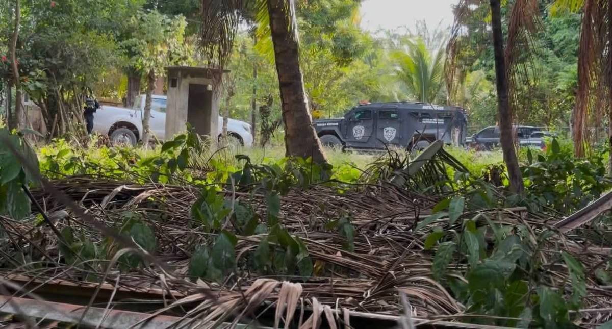 Armas enterradas, fusiles de guerra y siete detenidos tras operativo por masacre de Rigores