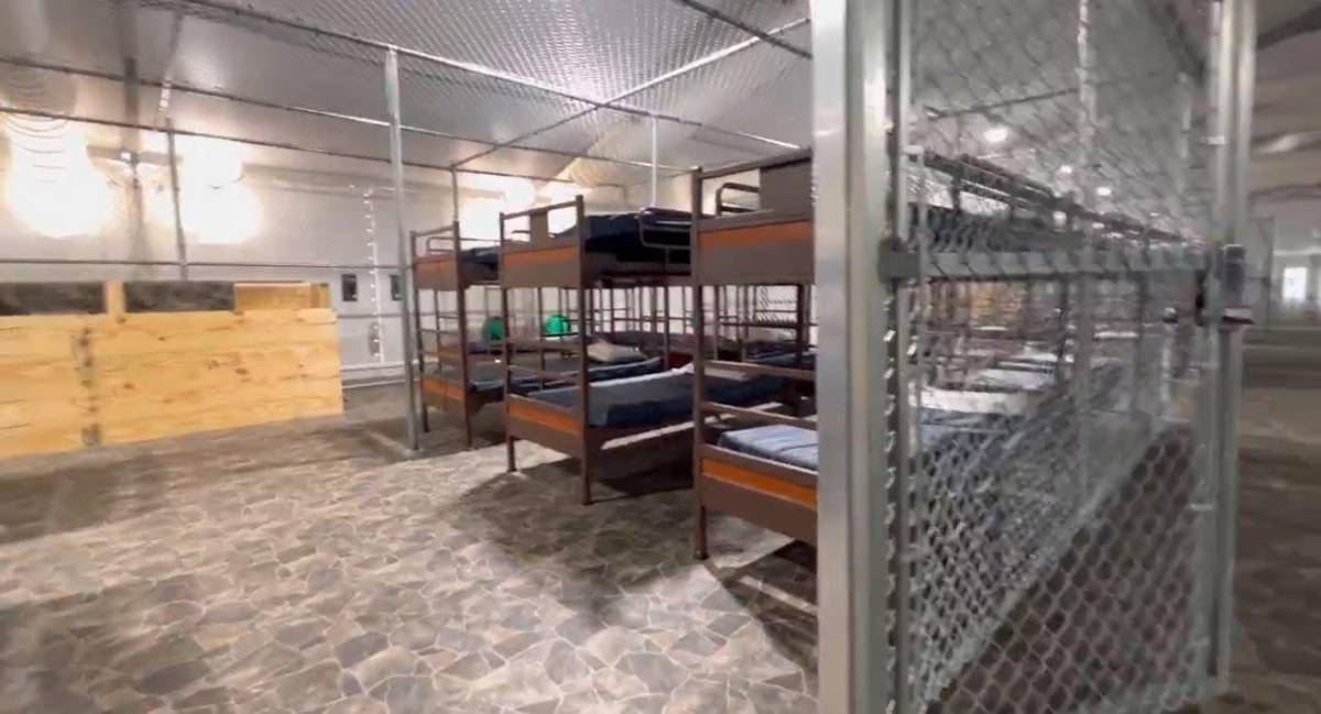 Caimanes, calor y comida podrida: Migrantes describen un infierno en 'Alligator Alcatraz'