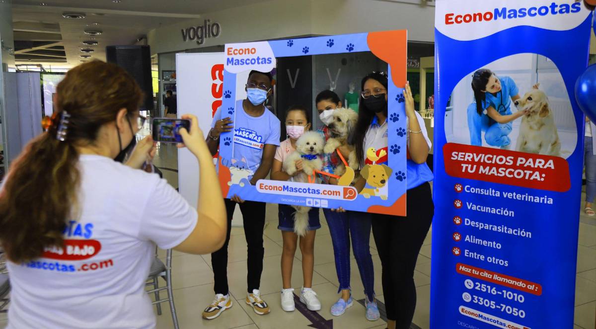 Pet Ville promete diversión para familias y sus mascotas