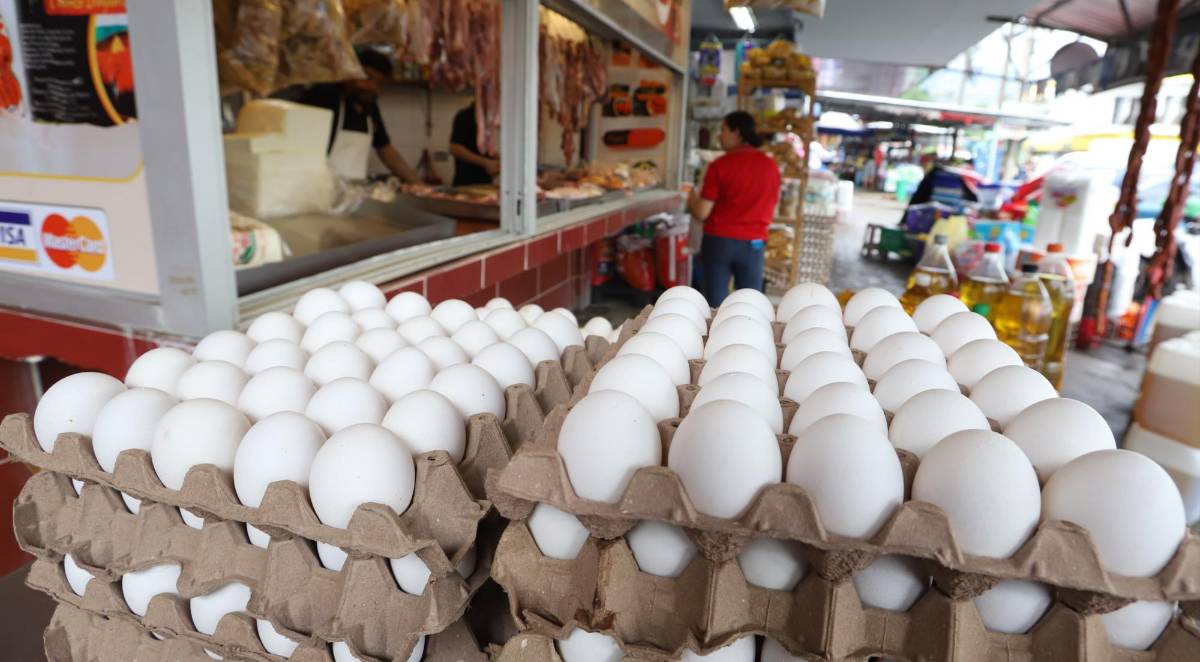 Agosto deja alza en cartón de huevos en mercados de SPS