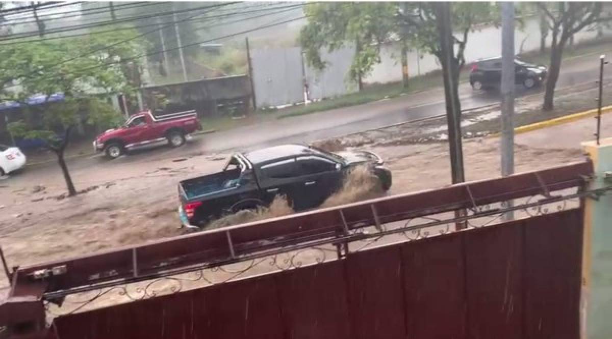 Los más intrépidos se arriesgan a confrontar las aguas.