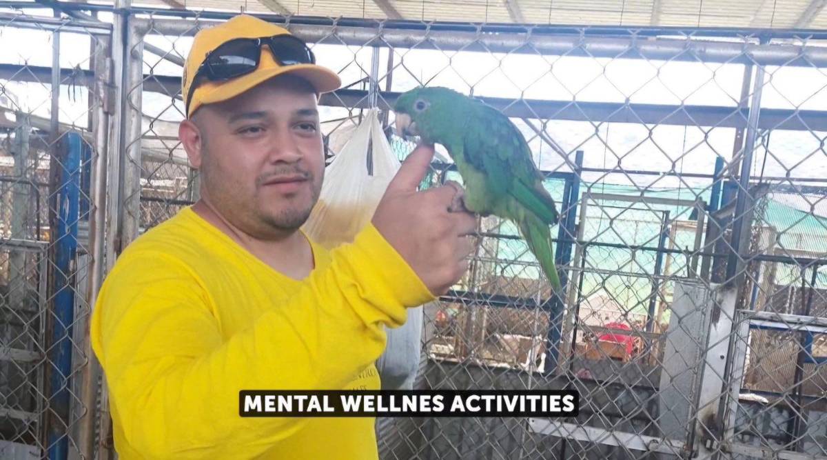 Bukele desmiente torturas a Ábrego García y divulga imágenes de su reclusión