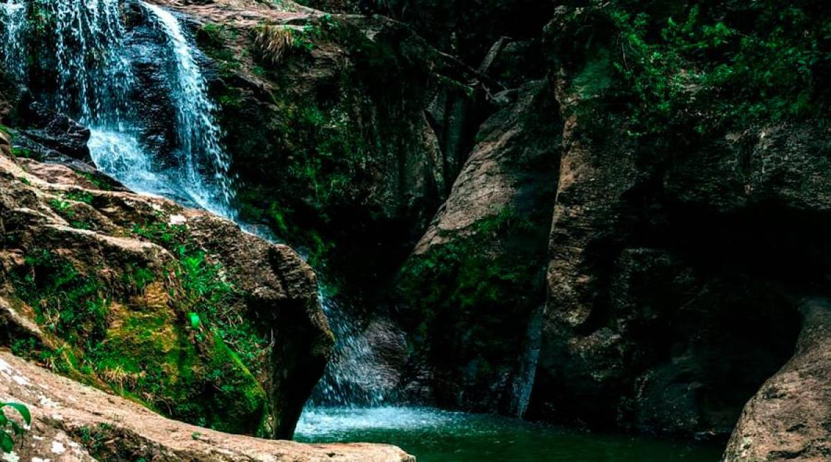 Sendero Las Golondrinas: Descubra esta ruta cerca de Tegucigalpa. Por lo general, se considera un recorrido fácil de unos 35 minutos. También podrá practicar camping en esta zona de turistas, donde se aventuran a descubrir todo eso que ofrece la madre naturaleza. Asimismo, cuenta con cabañas rústicas, un mirador, juego para niños, lagunas con lanchas y una imponente cascada. El costo es de L40 para adultos, niños L20 y la tercera edad paga L30. Si aún no ha decidido dónde ir, visítelo.