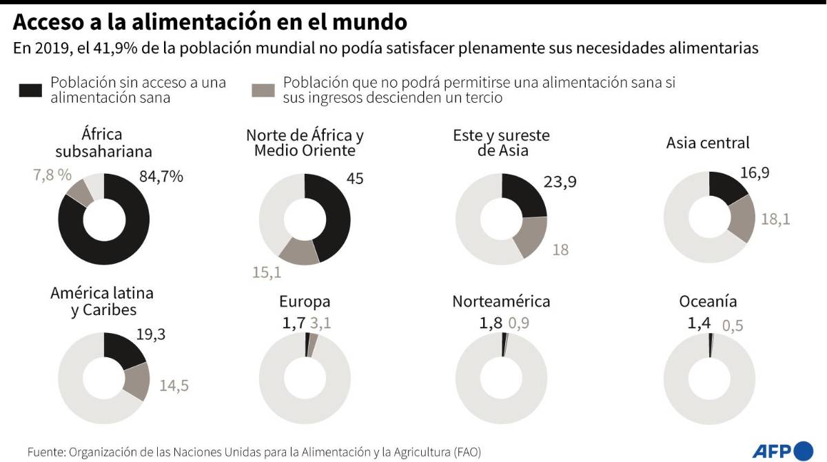 Rusia acusada en la ONU de causar una “crisis alimentaria mundial”