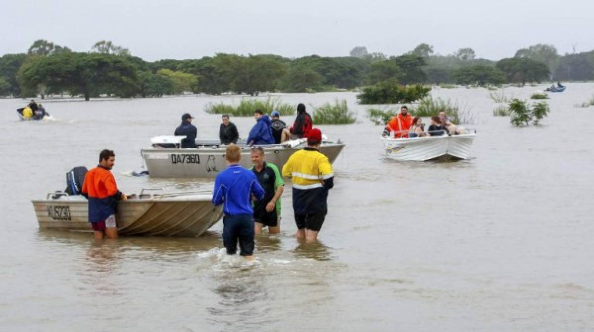 Según los expertos el cambio climático provocó un alza de las temperaturas, en tierra como en mar.