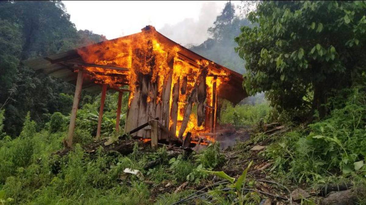 También se destruyeron 53 barriles con capacidad de 42 galones de los cuales 11 estaban llenos de insumos químicos.