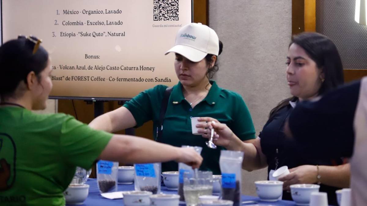Cafexpo 2026 reúne a la industria cafetalera en Honduras