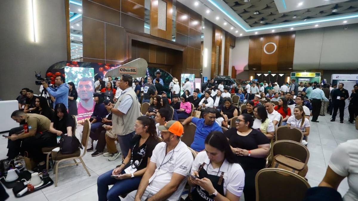 Cafexpo 2026 reúne a la industria cafetalera en Honduras