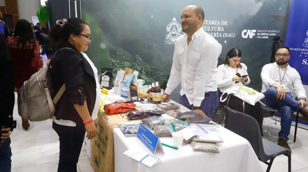 Cafexpo 2026 reúne a la industria cafetalera en Honduras