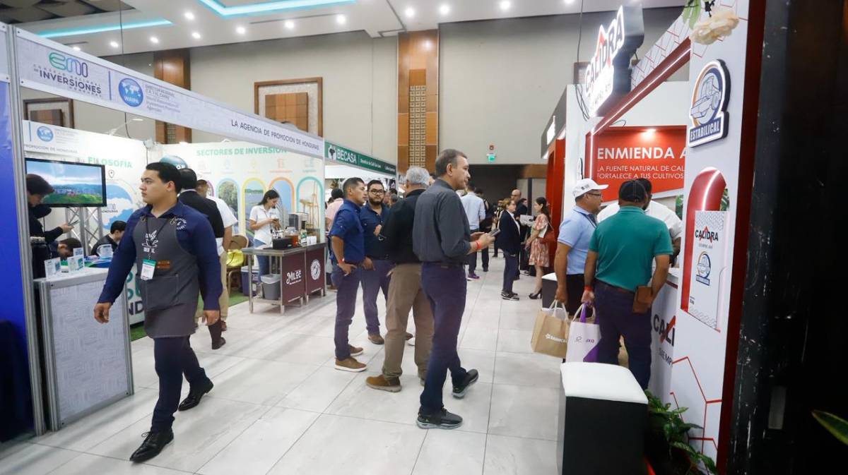 Cafexpo 2026 reúne a la industria cafetalera en Honduras