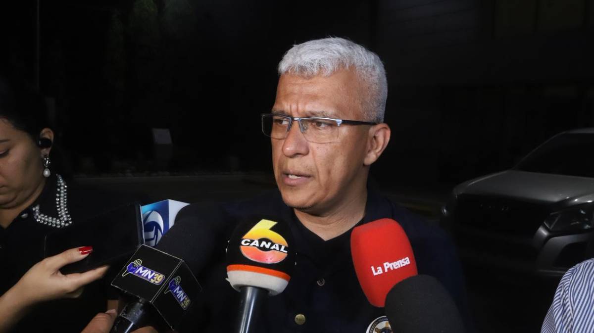 Caen más presuntos autores del asesinato de la dirigente Karla Vigil