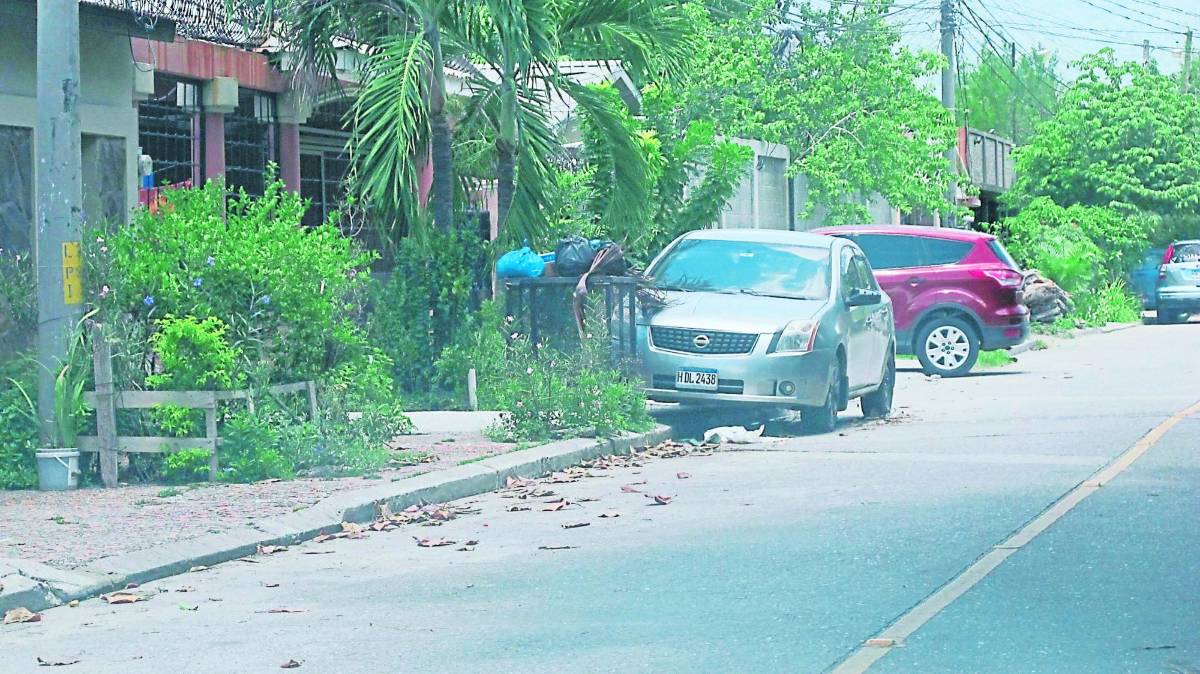 Es necesario que las autoridades apliquen el plan de arbitrios en todos los sectores.
