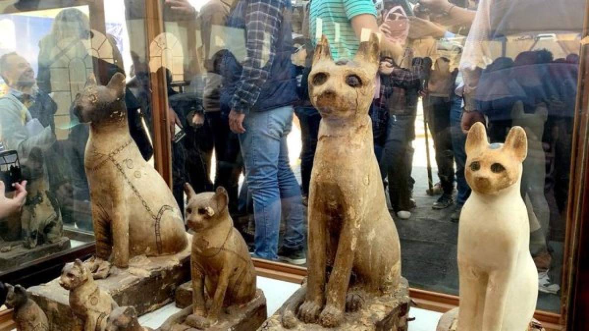 En la zona arqueológica de Saqqara se han realizado grandes descubrimientos en los últimos dos años, entre ellos la tumba bien preservada del sacerdote Wahtye de la quinta dinastía y el mayor escarabajo del mundo.