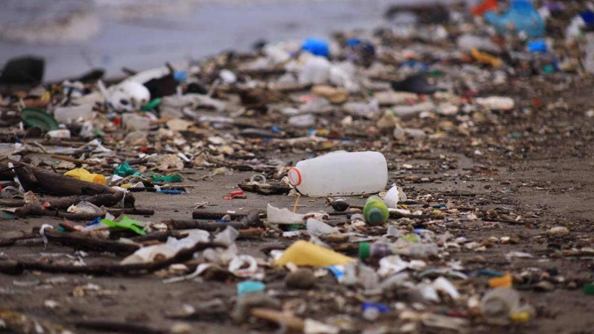 Autoridades municipales informaron que retiraron 25 toneladas de basura de la playa Porvenir y 20 de Cieneguita.