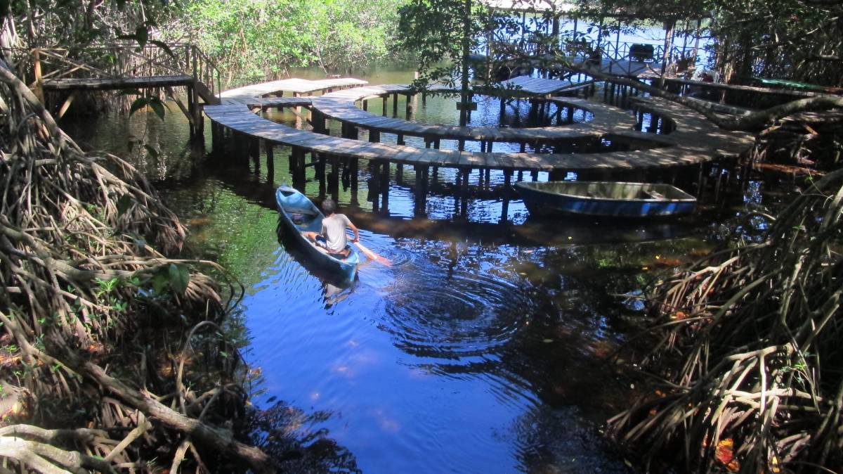 Cómo el lecho marino podría mitigar efectos del cambio climático