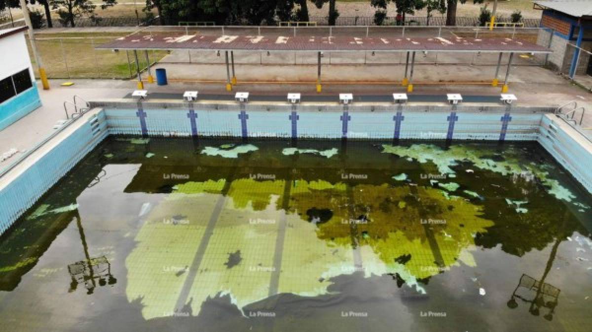 La directiva explicó que el problema no solo lo tienen en la piscina oficial de 50 metros, ya que los filtros que están en mal estado, también depuran el agua de la otra piscina de 25 metros, lo que en algunas ocasiones provoca que el agua se ensucie y se tengan que paralizar las prácticas de unos 80 nadadores con los que cuenta el equipo.