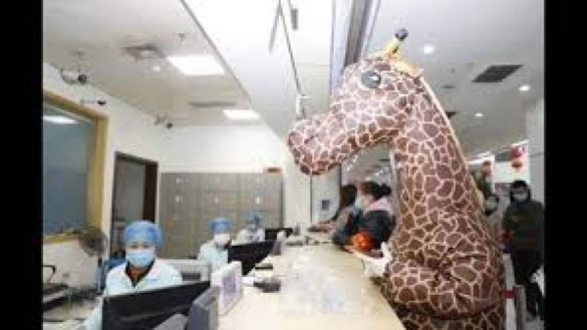 La semana pasada, una ciudadana se disfrazó de jirafa fue a realizar unas gestiones a la Universidad Médica del Suroeste, en la provincia de Sichuán, confiando que el disfraz la protegería del virus.