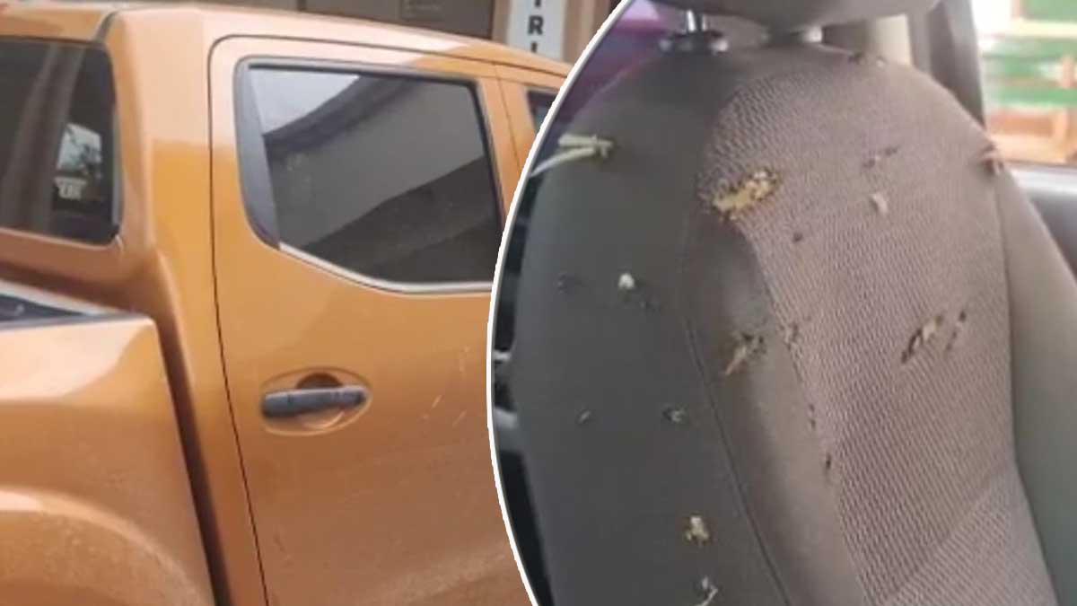 Dentro de su carro sicarios matan a doctora en Catacamas Olancho