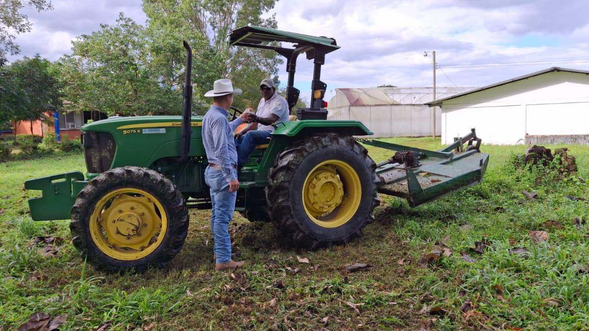 Vende donas en la universidad para costear sus estudios
