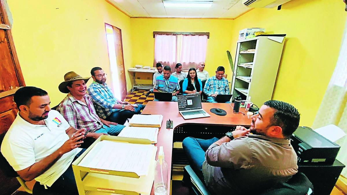 Jefes de área de occidente planifican acciones.