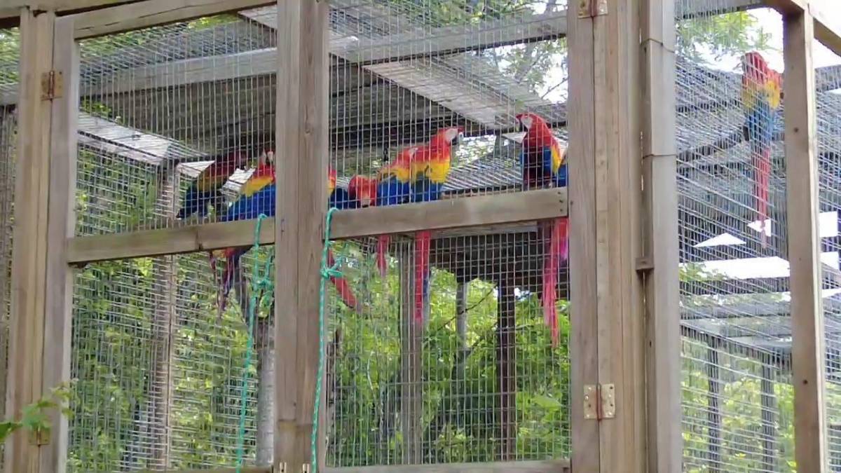 El evento es un magnífico potenciador de turismo para la región