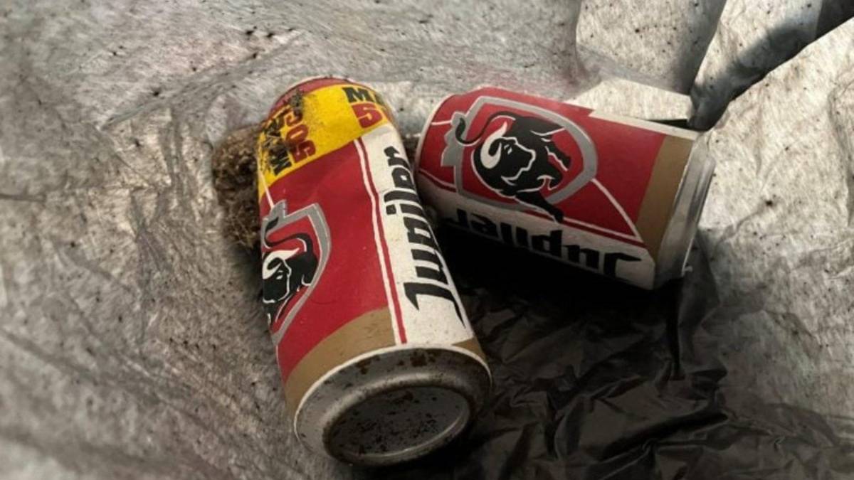 La directora subrayó que el museo “no guarda rencor” al técnico de elevadores que desechó la obra de arte porque “solo estaba haciendo su trabajo de buena fe”.