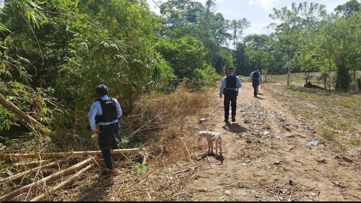 La pequeña Reyna Danesi Erazo fue hallada sana y salva en Sonaguera, Colón